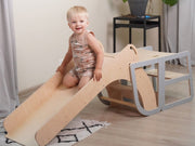 Removable Ramp/Slide for flexible play options