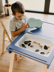 Classic sensory table with compartments.