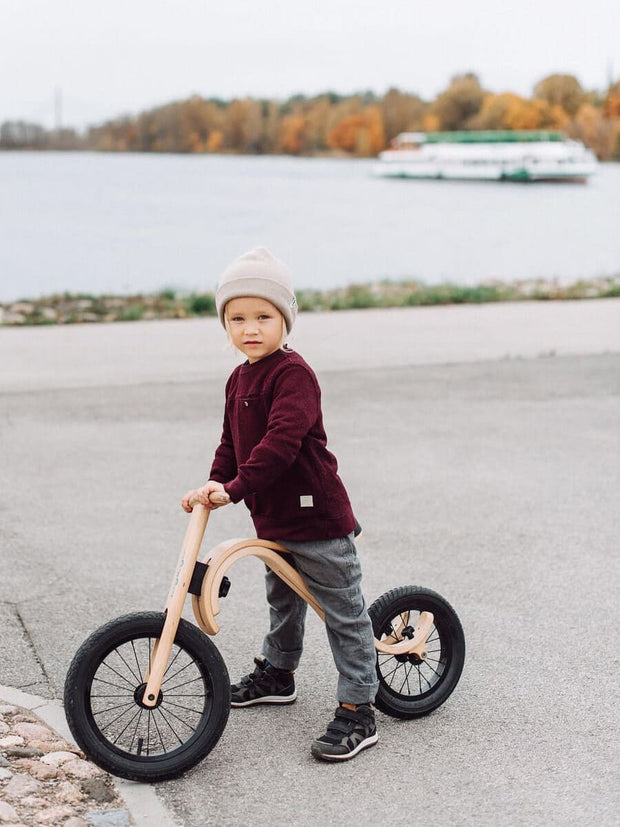 The Minimalist 3 in 1 balance bike for kids