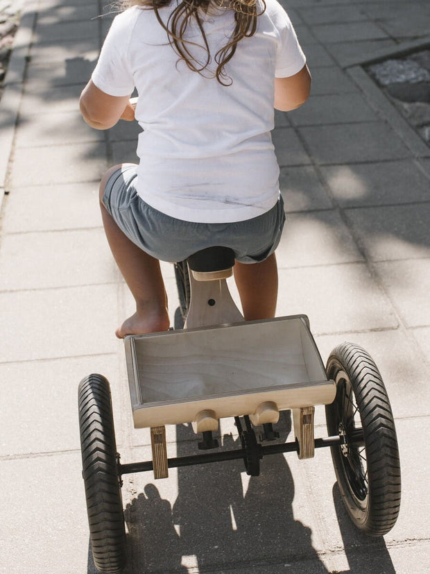 Safe tricycle add-on for children&